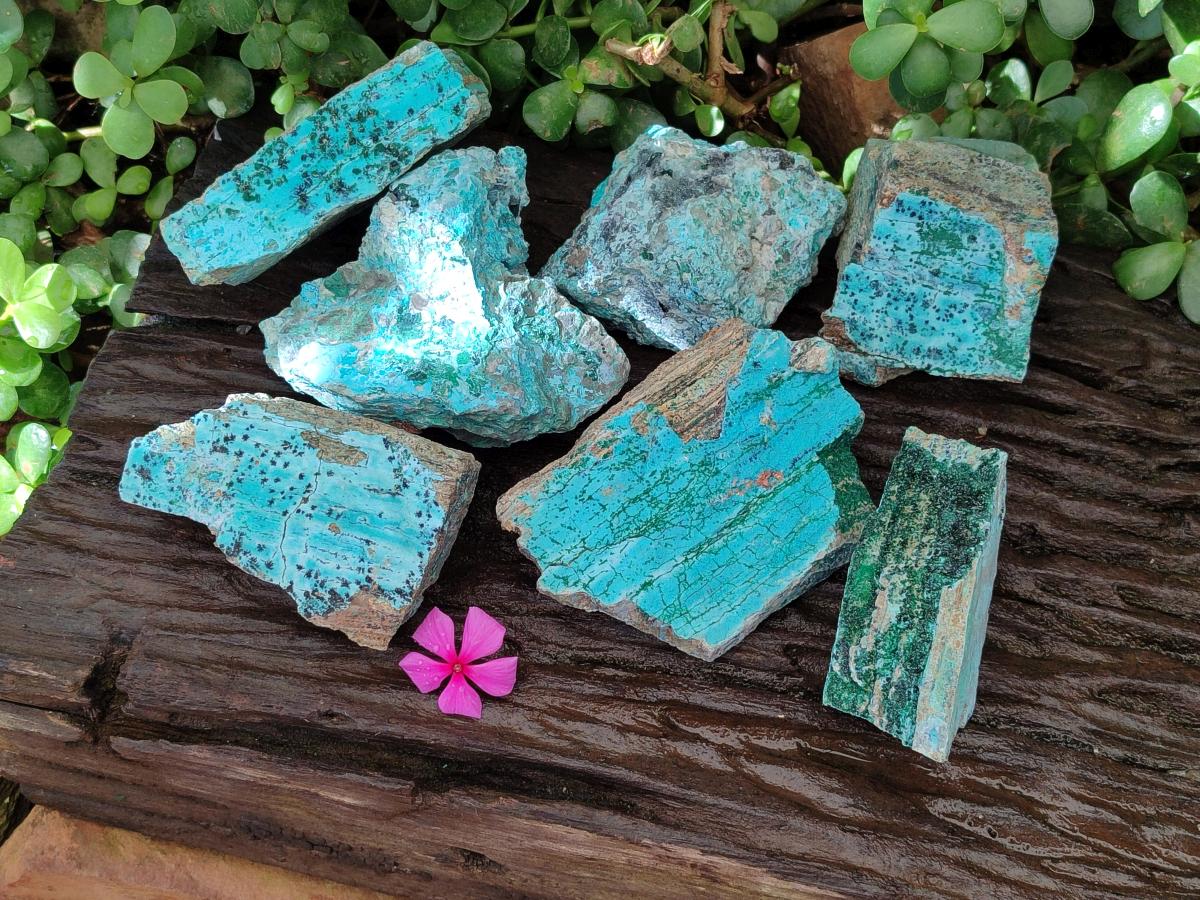 Natural Drusy Coated Chrysocolla with Malachite and Heterogenite on Dolomite Specimens x 7 From Lupoto Mine, Congo