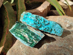 Natural Drusy Coated Chrysocolla with Malachite and Heterogenite on Dolomite Specimens x 7 From Lupoto Mine, Congo
