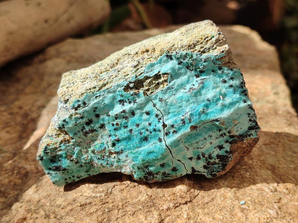 Natural Drusy Coated Chrysocolla with Malachite and Heterogenite on Dolomite Specimens x 7 From Lupoto Mine, Congo