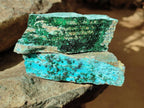 Natural Drusy Coated Chrysocolla with Malachite and Heterogenite on Dolomite Specimens x 7 From Lupoto Mine, Congo