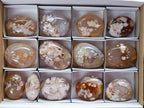 Polished Flower Agate Palm Stones x 13 From Antsahalova, Madagascar