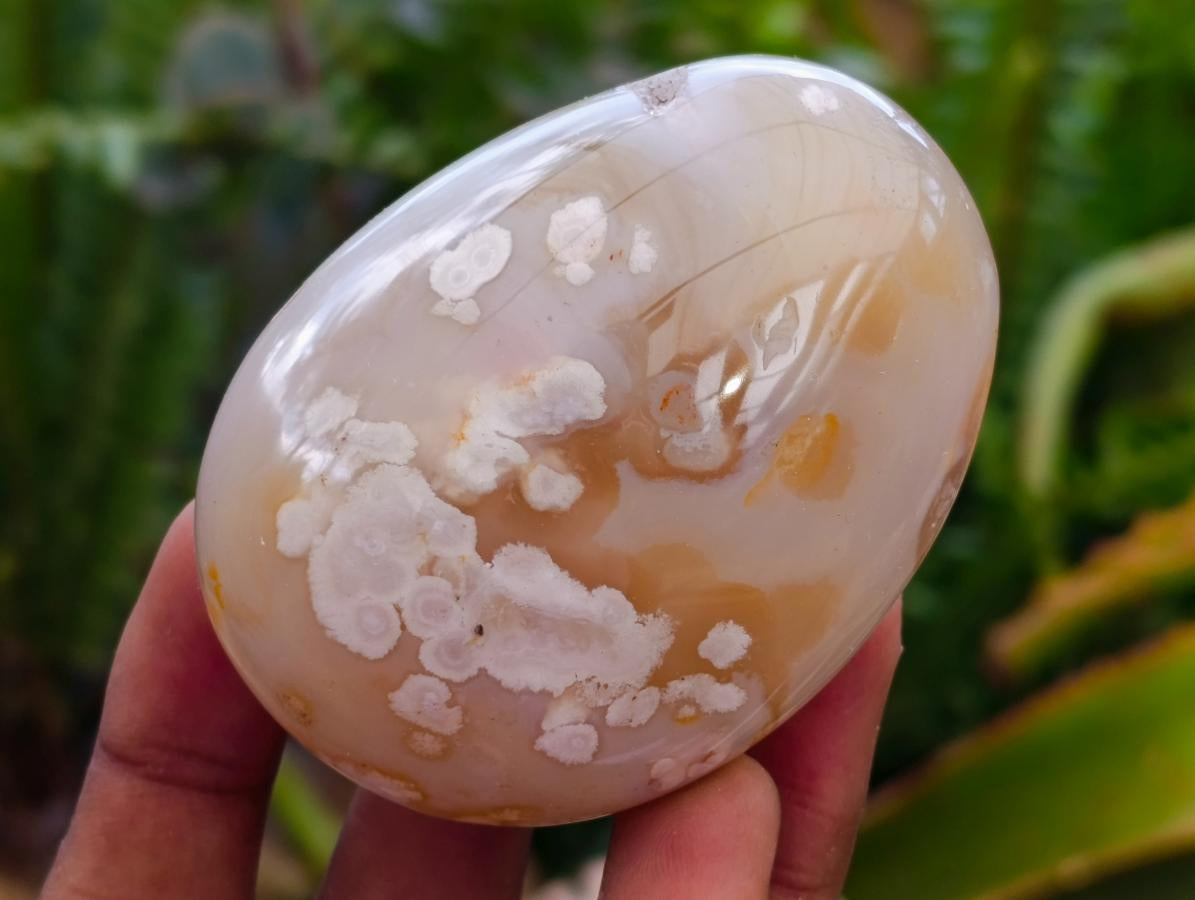 Polished Flower Agate Palm Stones x 13 From Antsahalova, Madagascar