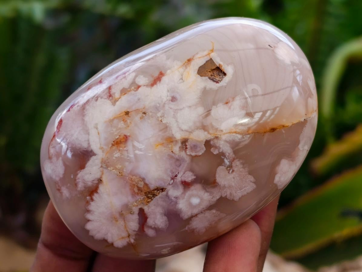 Polished Flower Agate Palm Stones x 13 From Antsahalova, Madagascar