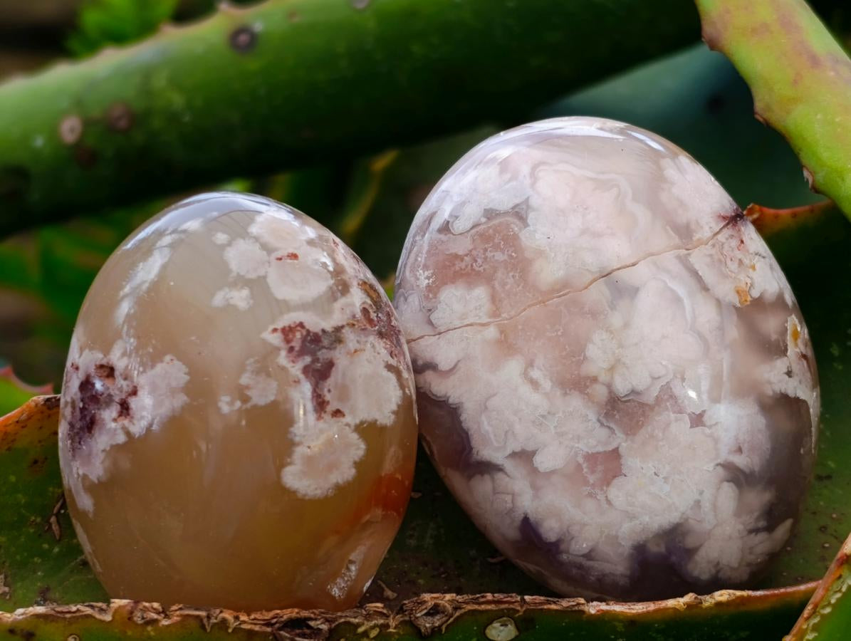 Polished Flower Agate Palm Stones x 13 From Antsahalova, Madagascar