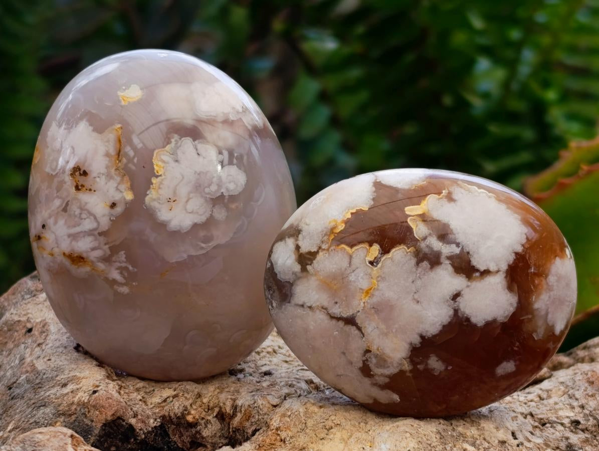 Polished Flower Agate Palm Stones x 13 From Antsahalova, Madagascar