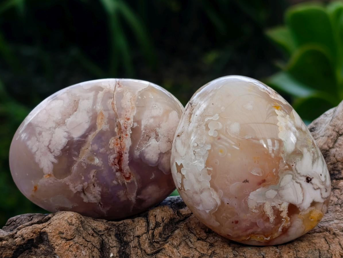 Polished Flower Agate Palm Stones x 13 From Antsahalova, Madagascar