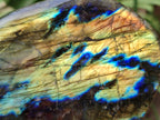 Polished Labradorite Standing Free Forms x 2 From Madagascar