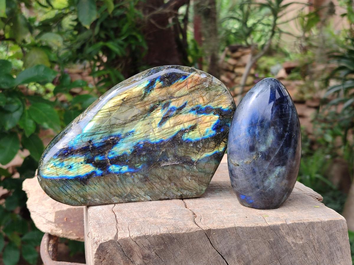 Polished Labradorite Standing Free Forms x 2 From Madagascar