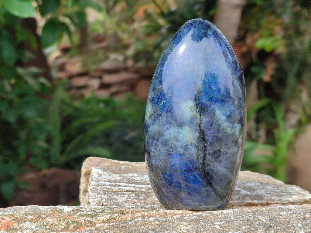 Polished Labradorite Standing Free Forms x 2 From Madagascar