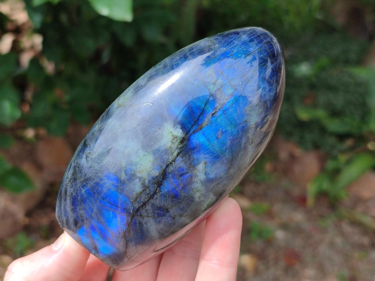 Polished Labradorite Standing Free Forms x 2 From Madagascar