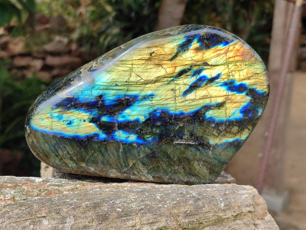 Polished Labradorite Standing Free Forms x 2 From Madagascar