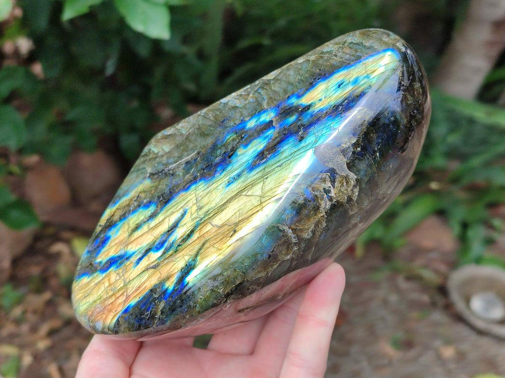 Polished Labradorite Standing Free Forms x 2 From Madagascar