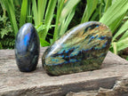 Polished Labradorite Standing Free Forms x 2 From Madagascar