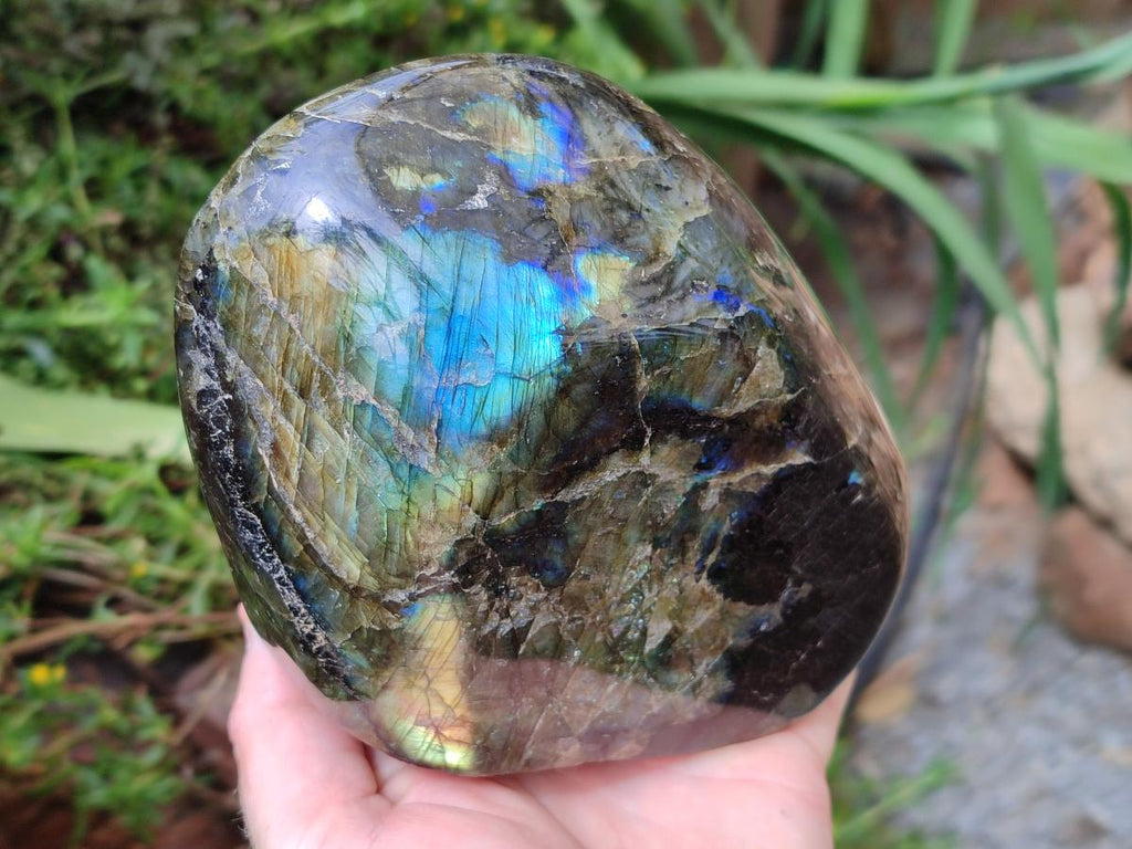 Polished Labradorite Standing Free Forms x 2 From Madagascar