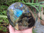 Polished Labradorite Standing Free Forms x 2 From Madagascar