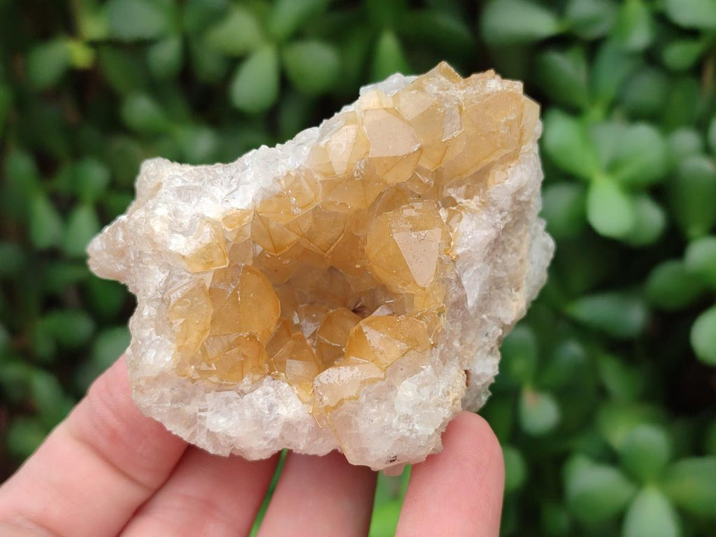 Natural Limonite Quartz Clusters x 24 From Solwezi, Zambia