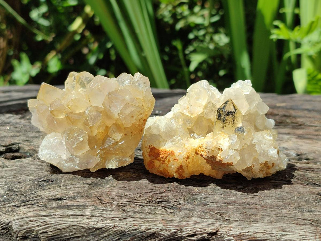 Natural Limonite Quartz Clusters x 24 From Solwezi, Zambia
