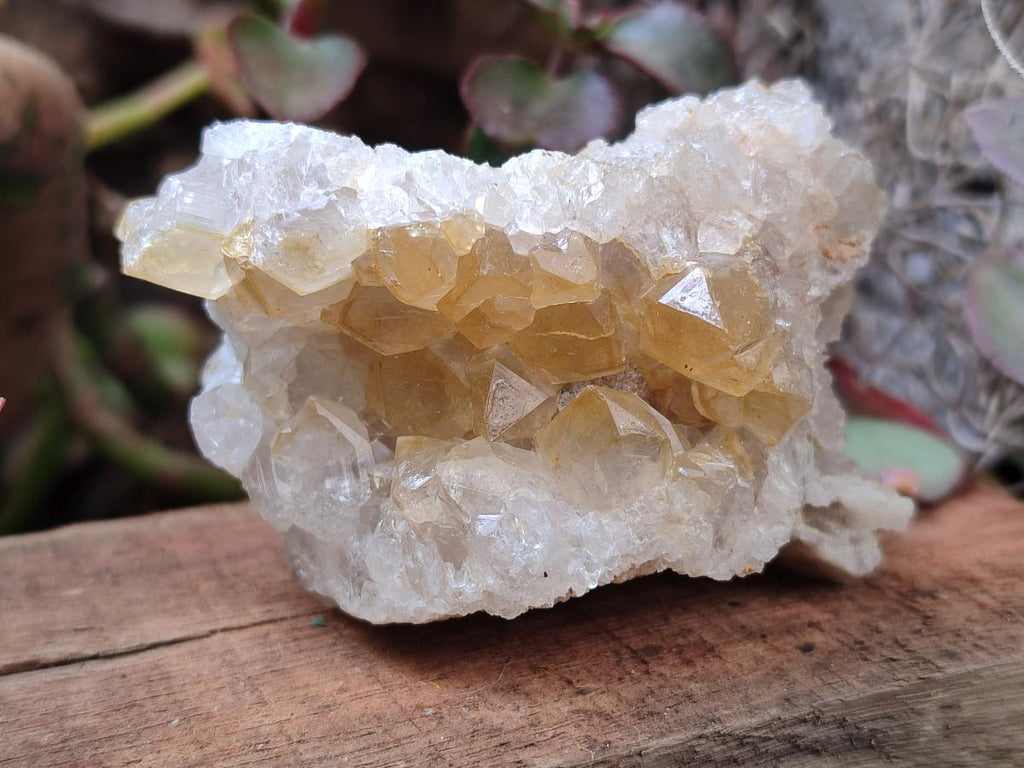 Natural Limonite Quartz Clusters x 24 From Solwezi, Zambia