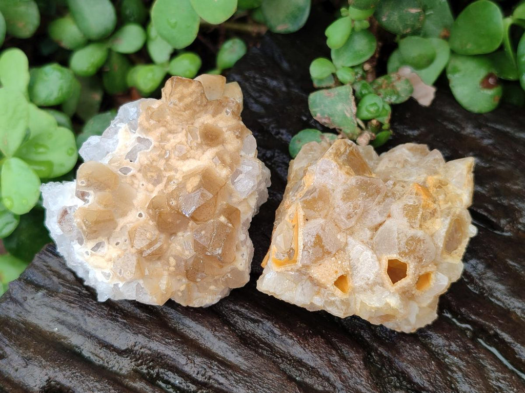 Natural Limonite Quartz Clusters x 24 From Solwezi, Zambia