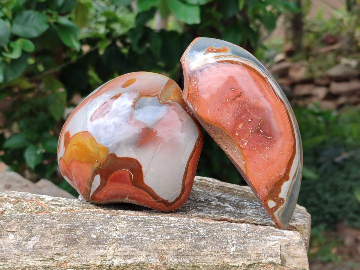 Polished On One Side Polychrome Jasper Nodules x 6 From NW Coast, Madagascar