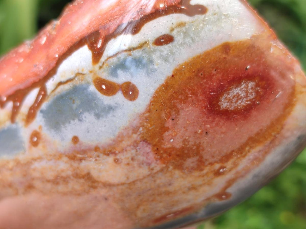 Polished On One Side Polychrome Jasper Nodules x 6 From NW Coast, Madagascar