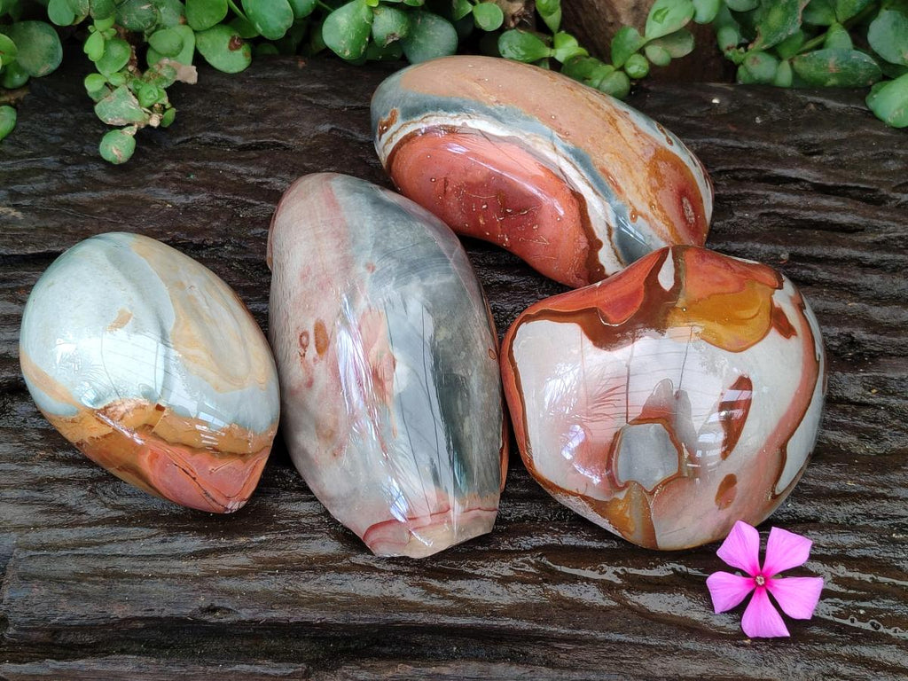 Polished On One Side Polychrome Jasper Nodules x 6 From NW Coast, Madagascar