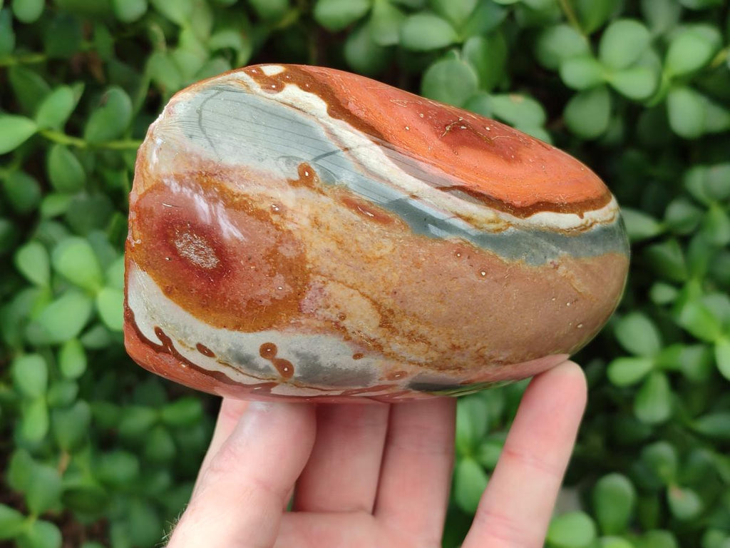 Polished On One Side Polychrome Jasper Nodules x 6 From NW Coast, Madagascar
