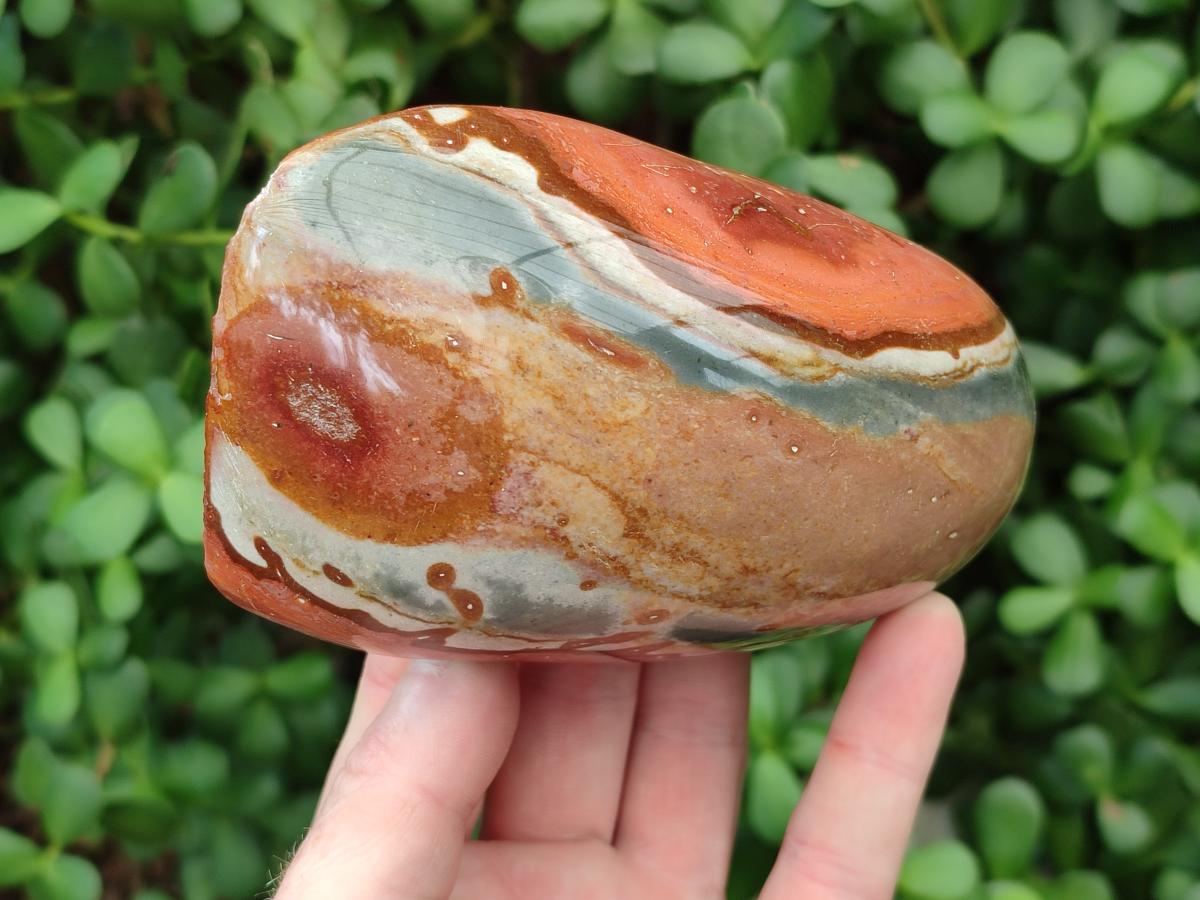 Polished On One Side Polychrome Jasper Nodules x 6 From NW Coast, Madagascar