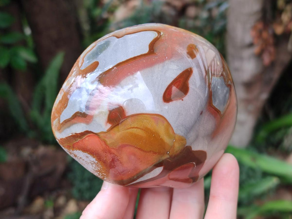 Polished On One Side Polychrome Jasper Nodules x 6 From NW Coast, Madagascar