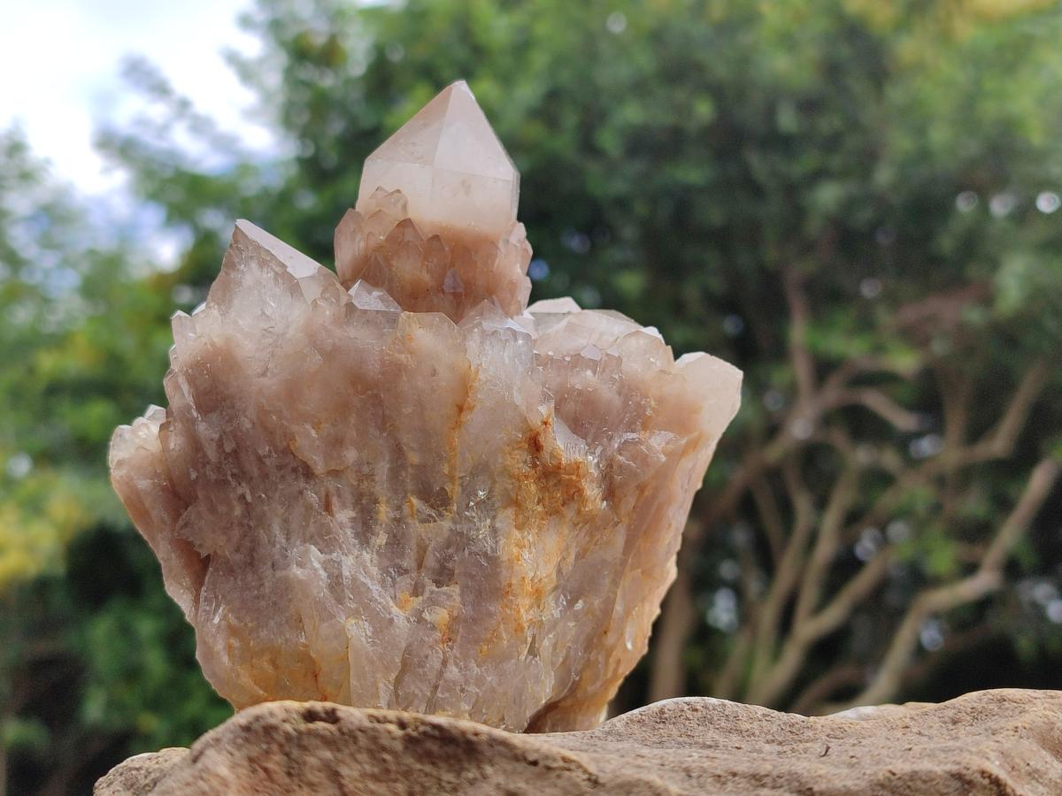Natural Smokey Phantom Quartz Clusters x 3 From Luena, Congo