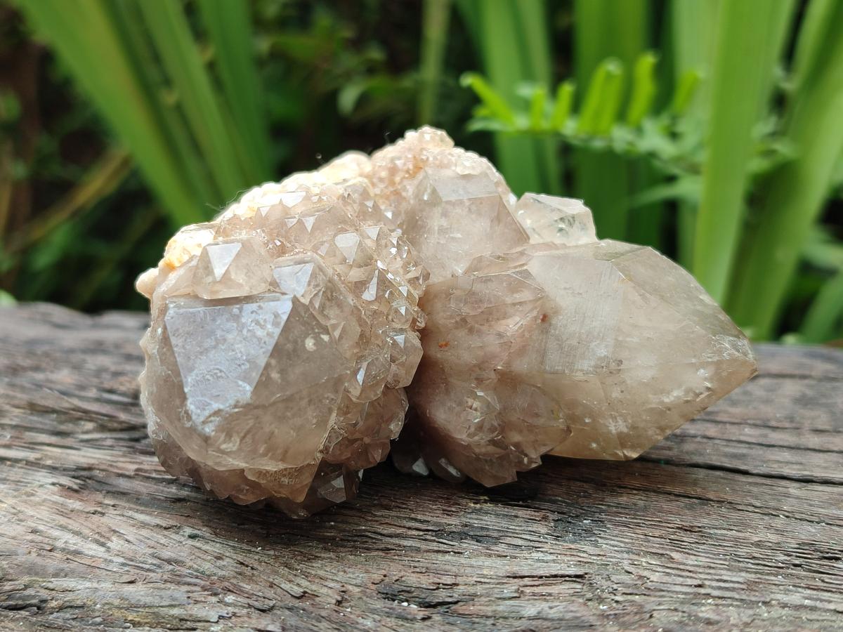 Natural Smokey Phantom Quartz Clusters x 3 From Luena, Congo
