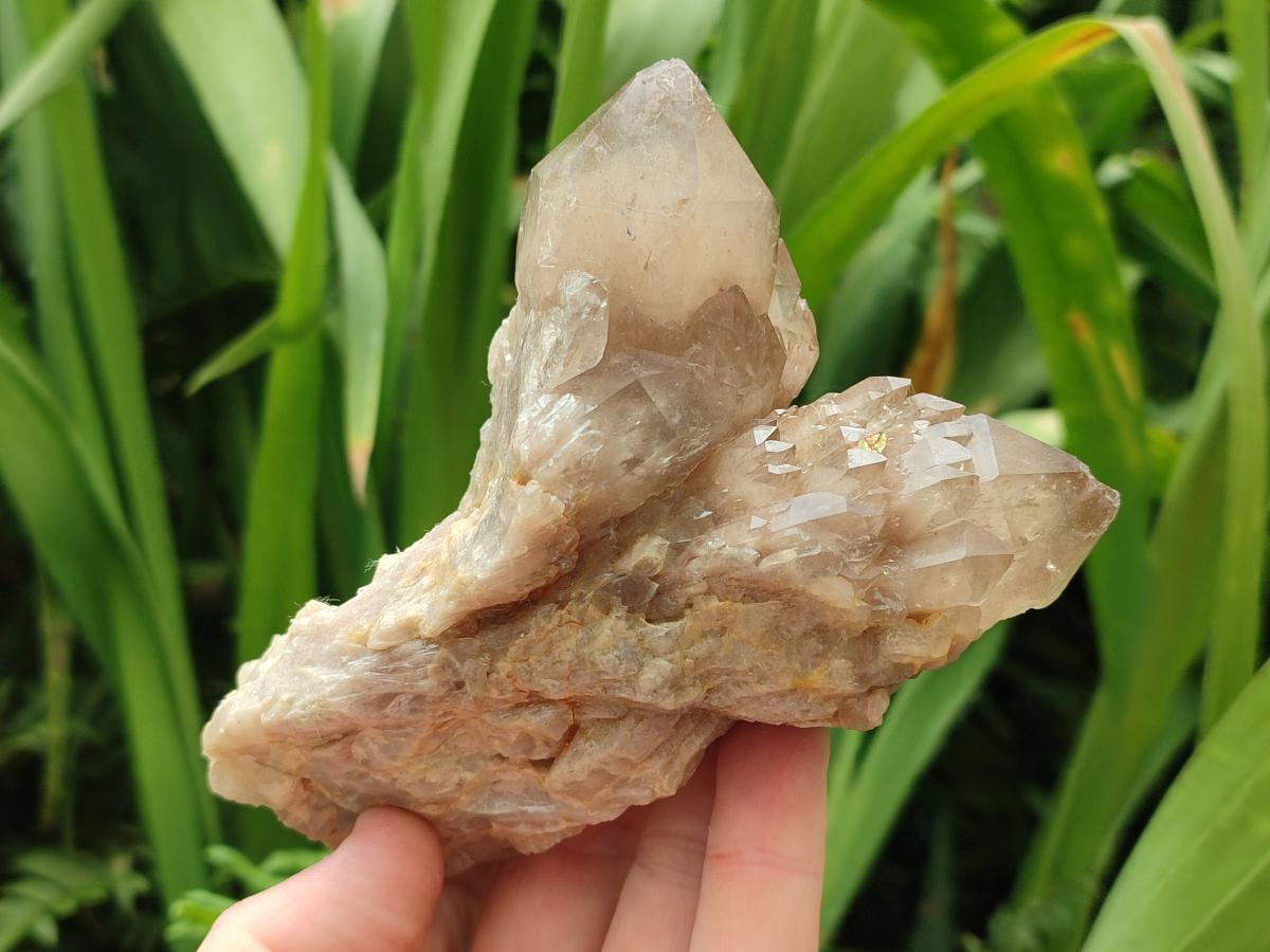 Natural Smokey Phantom Quartz Clusters x 3 From Luena, Congo