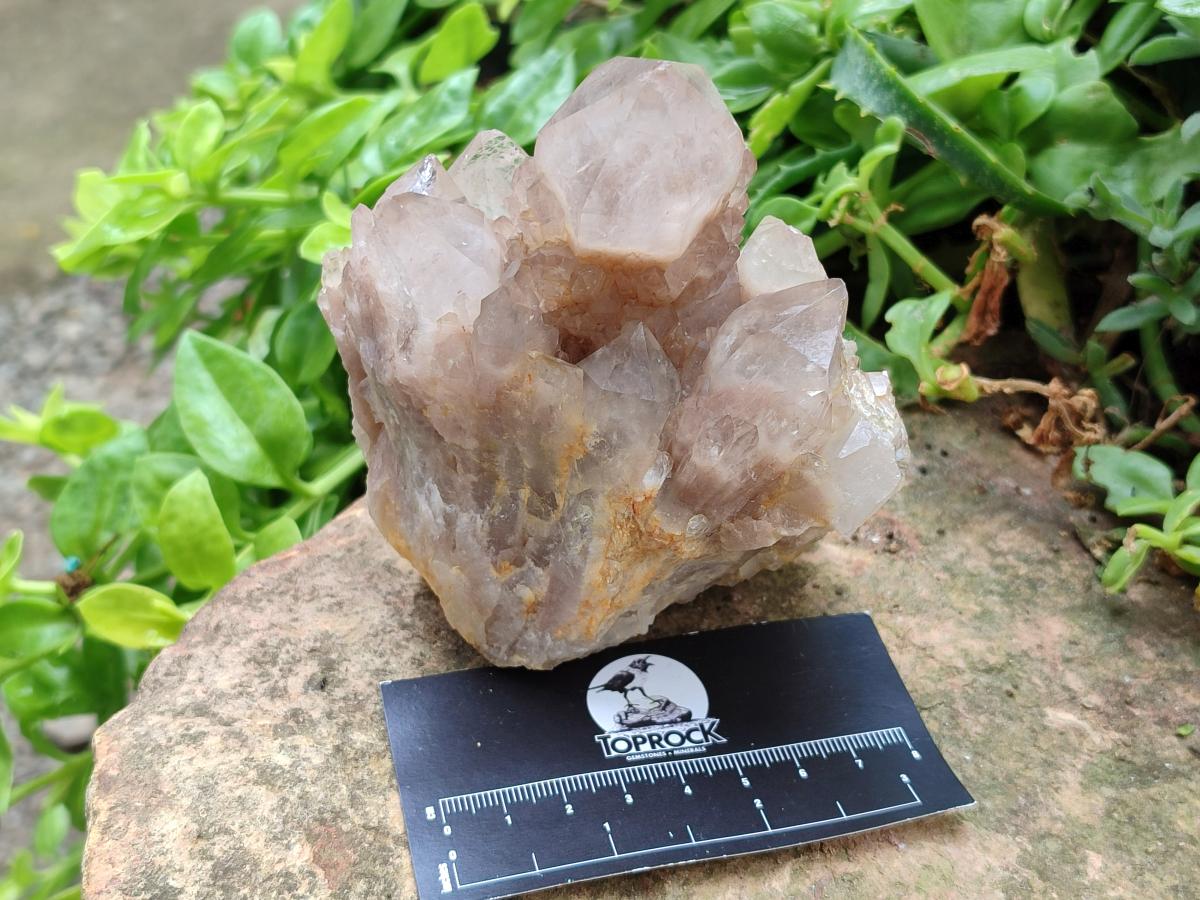 Natural Smokey Phantom Quartz Clusters x 3 From Luena, Congo