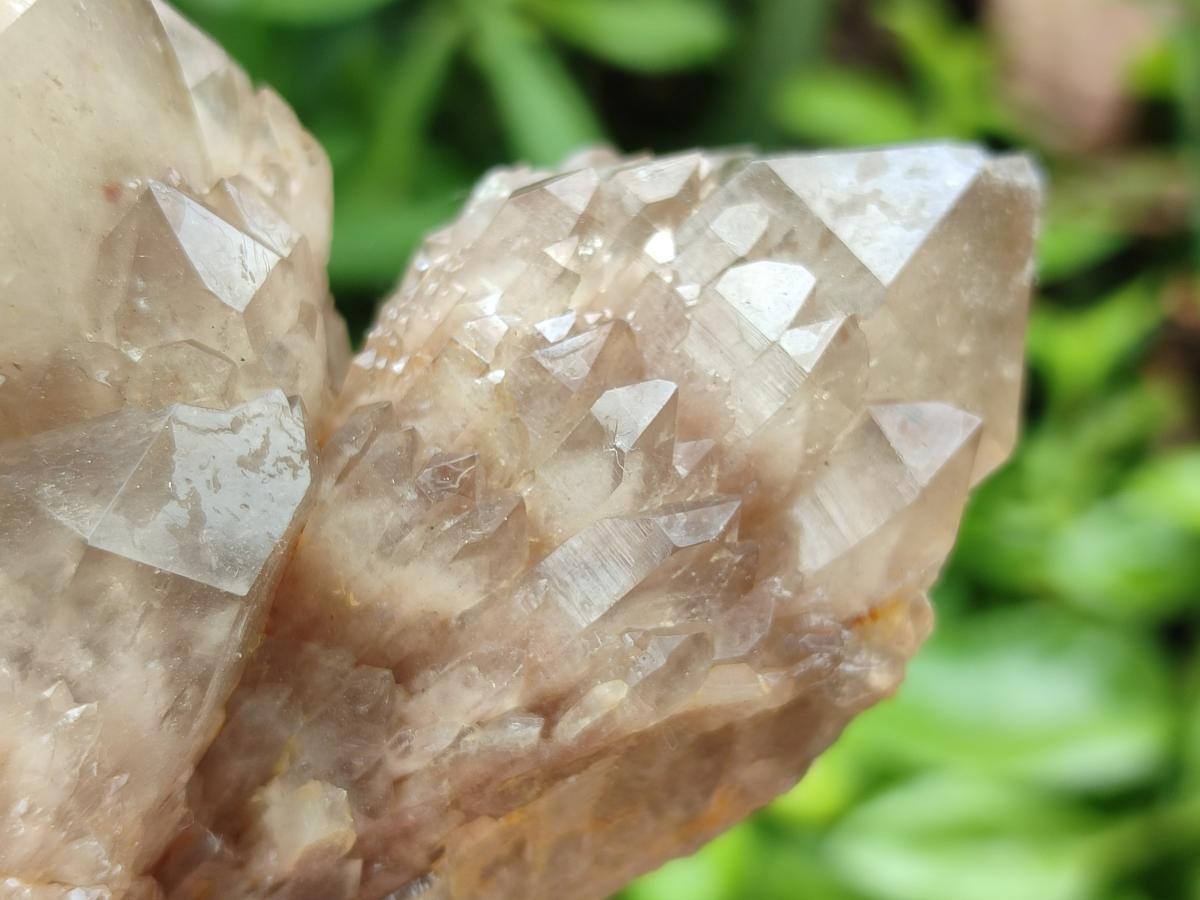 Natural Smokey Phantom Quartz Clusters x 3 From Luena, Congo