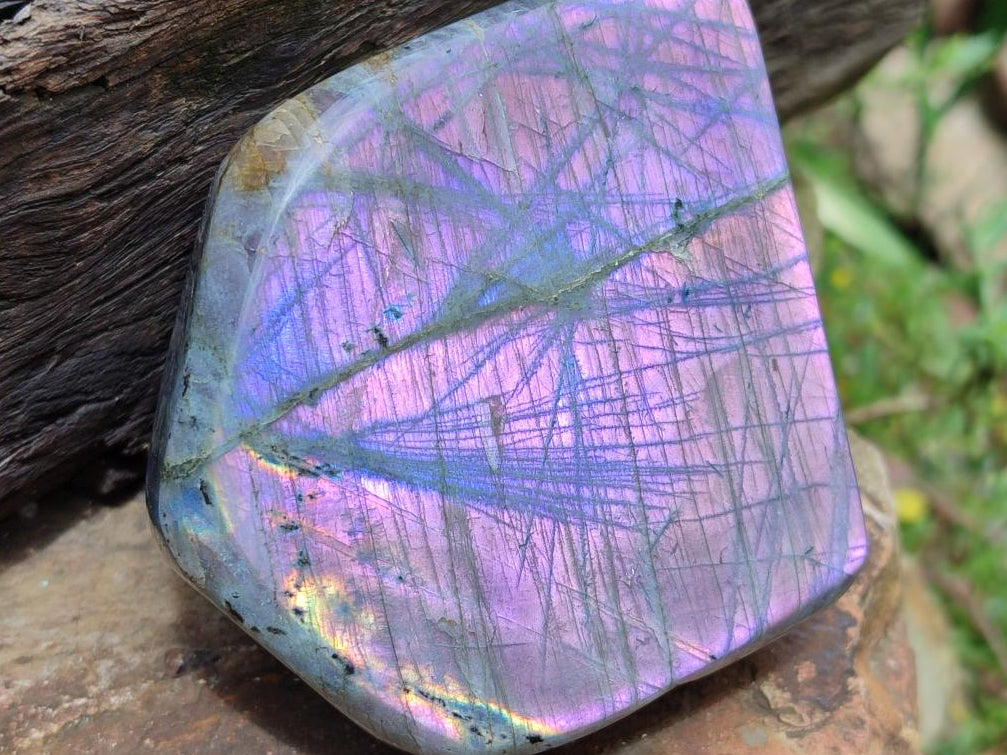 Polished Rare Purple Sunset Flash Labradorite Standing Free Forms x 2 From Madagascar