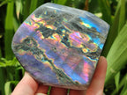 Polished Rare Purple Sunset Flash Labradorite Standing Free Forms x 2 From Madagascar