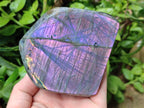 Polished Rare Purple Sunset Flash Labradorite Standing Free Forms x 2 From Madagascar