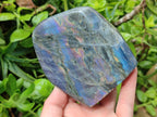 Polished Rare Purple Sunset Flash Labradorite Standing Free Forms x 2 From Madagascar