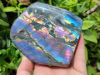 Polished Rare Purple Sunset Flash Labradorite Standing Free Forms x 2 From Madagascar