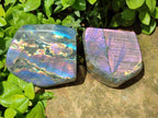 Polished Rare Purple Sunset Flash Labradorite Standing Free Forms x 2 From Madagascar