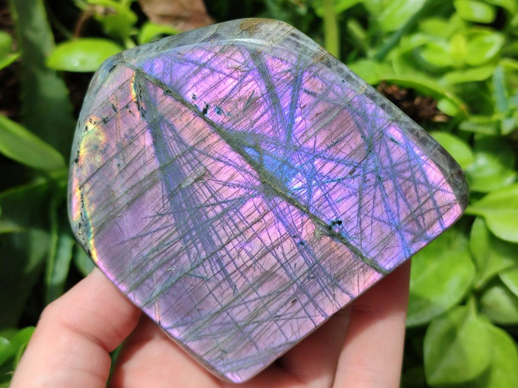 Polished Rare Purple Sunset Flash Labradorite Standing Free Forms x 2 From Madagascar