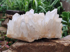 Natural Large Madagascar Quartz Cluster x 1 From Madagascar