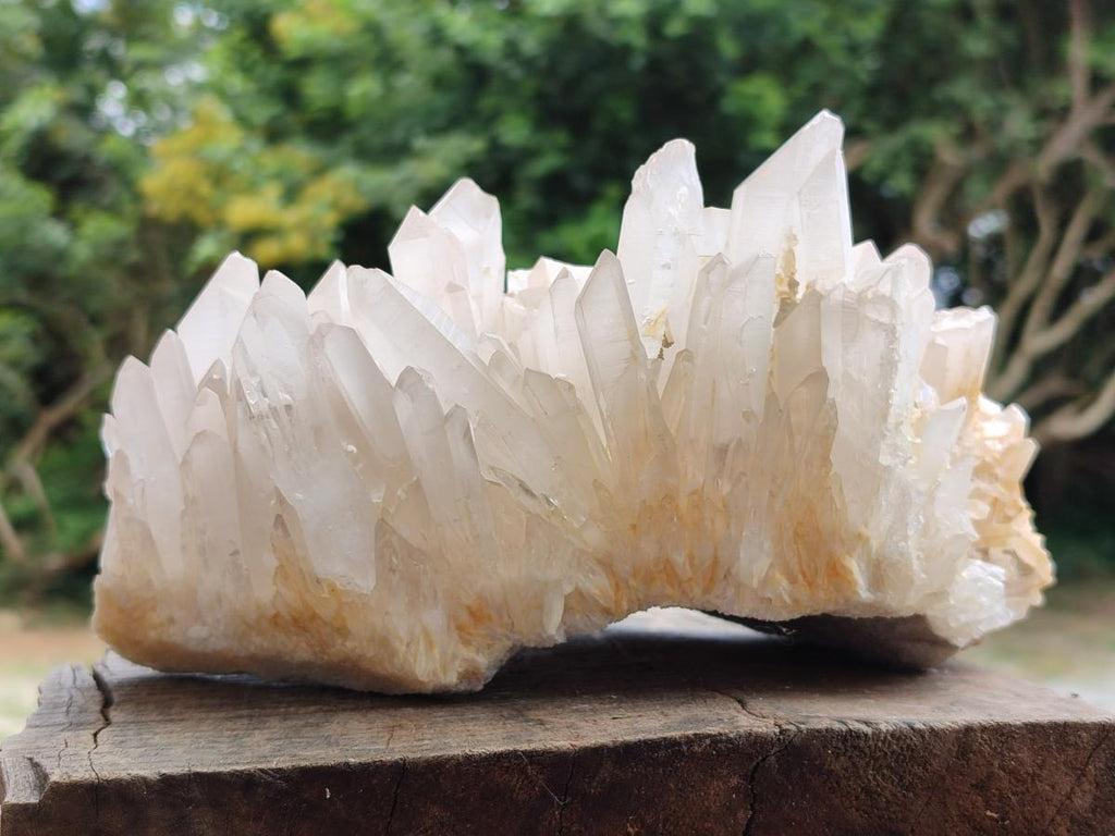 Natural Large Madagascar Quartz Cluster x 1 From Madagascar