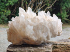 Natural Large Madagascar Quartz Cluster x 1 From Madagascar