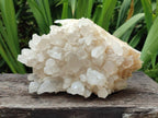 Natural Large Madagascar Quartz Cluster x 1 From Madagascar