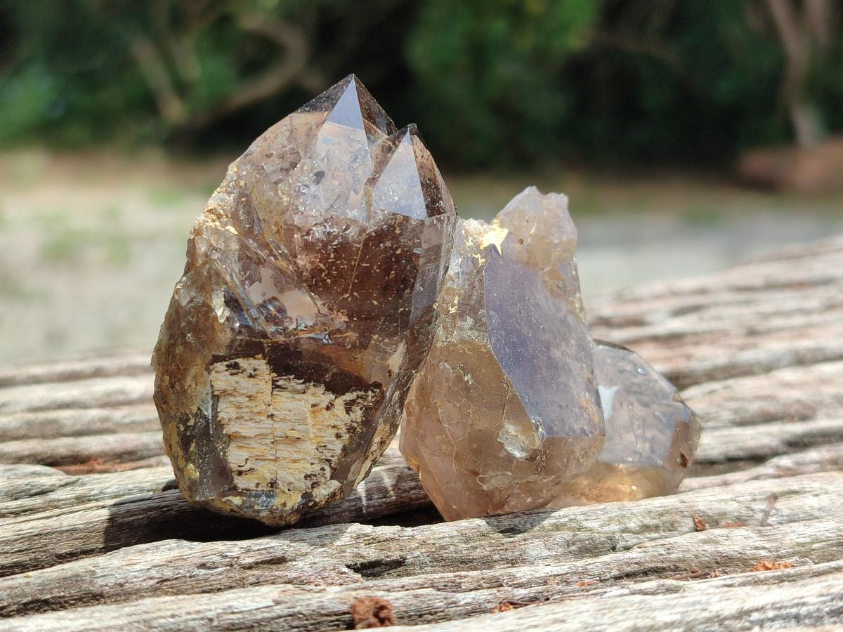 Natural Smokey Quartz Crystals x 12 From Zomba Plateau, Malawi