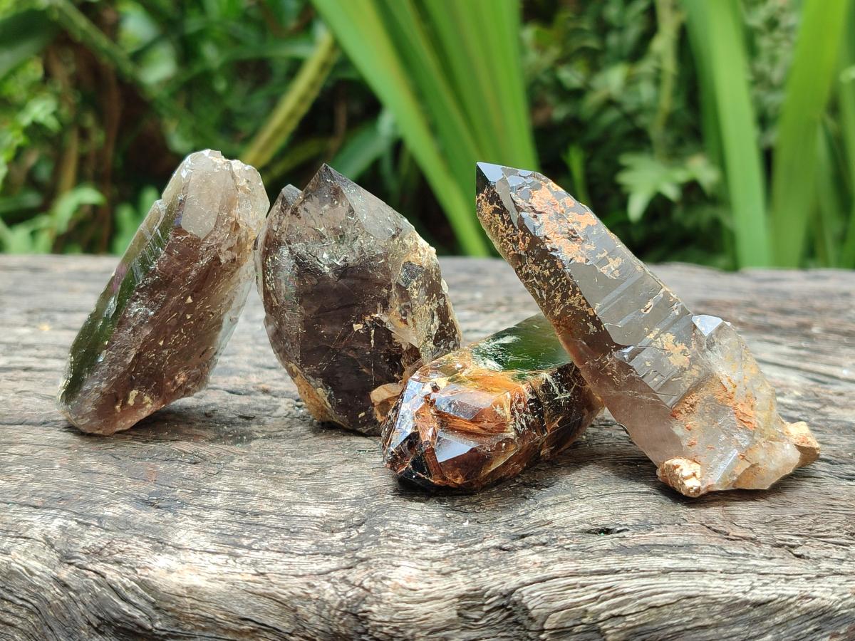 Natural Smokey Quartz Crystals x 12 From Zomba Plateau, Malawi