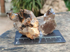 Natural Smokey Quartz Crystals x 12 From Zomba Plateau, Malawi