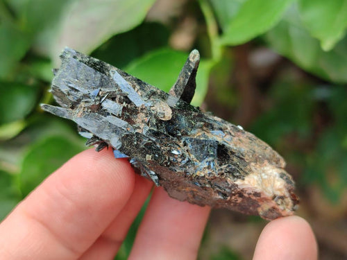 Natural Smokey Quartz Crystals x 12 From Zomba Plateau, Malawi