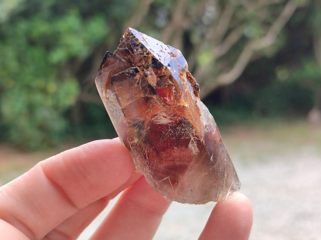 Natural Smokey Quartz Crystals x 12 From Zomba Plateau, Malawi